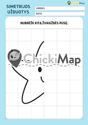 SIMETRIJOS UŽDUOTYS (PDF)