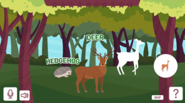Animals of the forrest