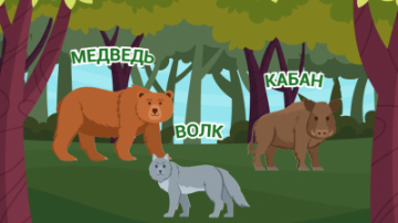 Лесные звери